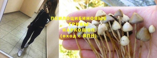 ГАЛЛЮЦИНОГЕННЫЕ ГРИБЫ Алексеевка