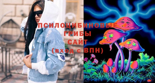 эйфоретик Алексин