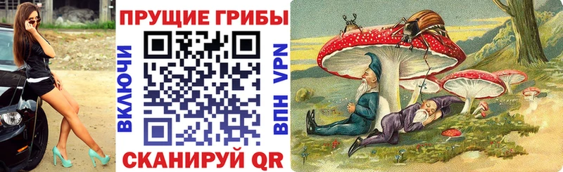 Псилоцибиновые грибы Psilocybine cubensis закладка Воткинск