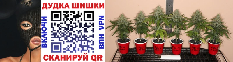 Конопля Ganja купить Воткинск